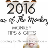 YEAR OF THE MONKEY 2016 GIFTS FOR NEW YEAR