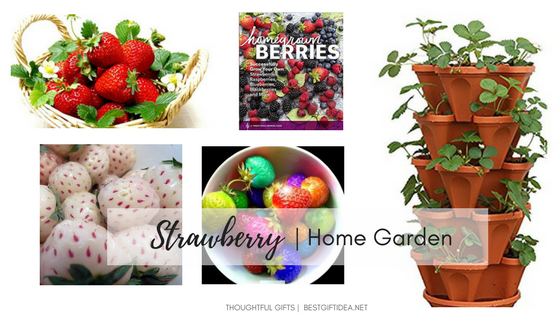 strawberry home garden gifts