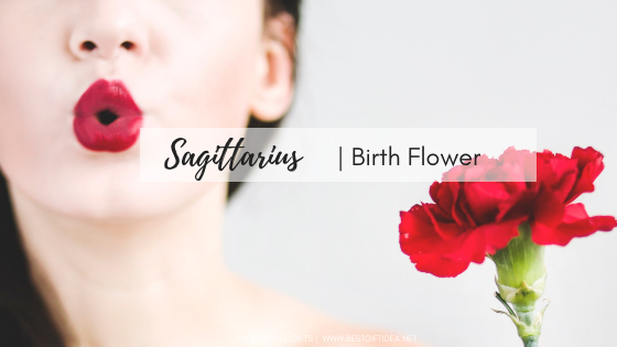 SAGITTARIUS BIRTHFLOWER GIFTS