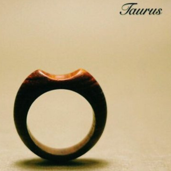 minimalistic wooden ring for the Earthy Taurus