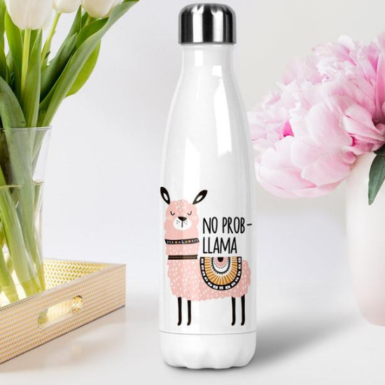 no probllama water bottle