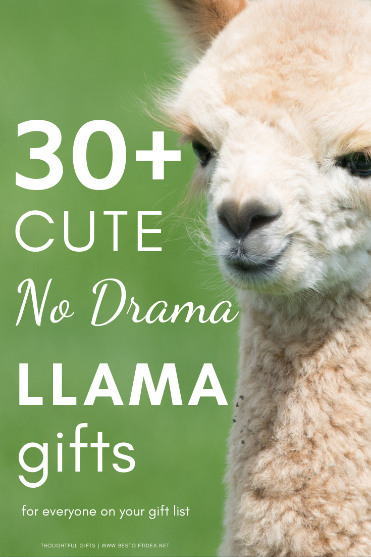 30+ cute no drama llama gifts