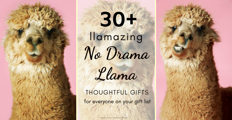 30+ llamazing no drama llama thoughtful gifts for everyone on your gift list