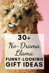 30+ no drama llama funny-looking gift ideas