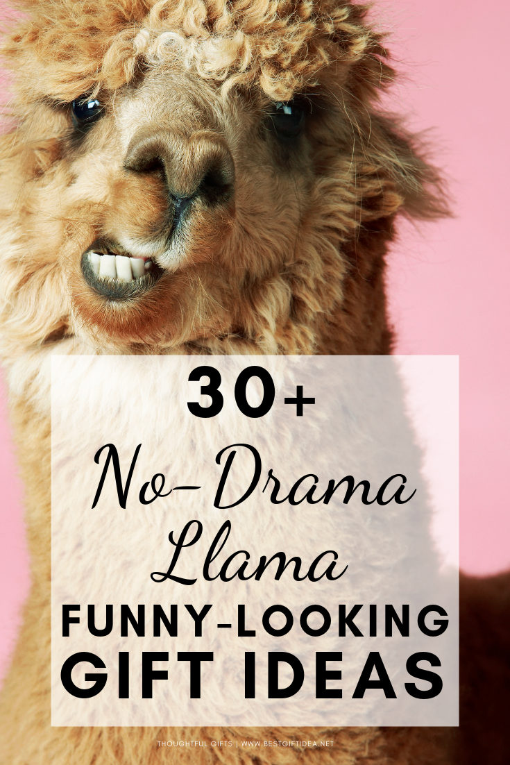 30+ no drama llama funny-looking gift ideas