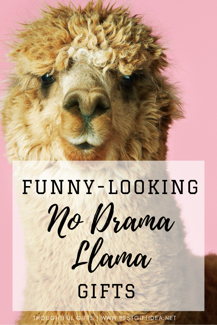 funny-looking No DRama Llama gifts